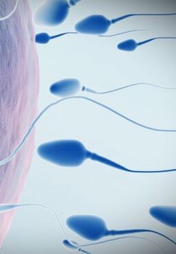 Sperm for low potential