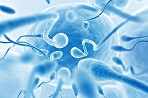 sperm in male discharge during stimulation